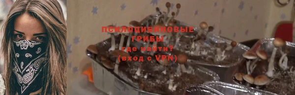 дмт Балабаново